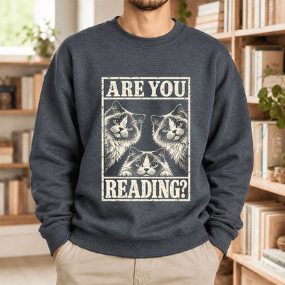 Are You Reading Ragdoll Softstyle Sweatshirt | Cat Lover Reader Gift Dark Heather